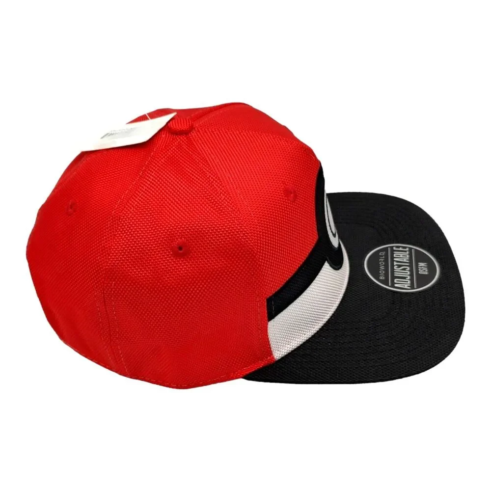 NEW Pokeball Pokemon BIOWORLD Adjustable OSFM Snapback Hat Cap Flat Black Brim